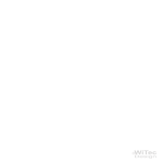 Wandtattoo Carpe Noctem Wandaufkleber Nutze die Nacht