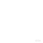 Wandaufkleber Afrika Wandtattoo