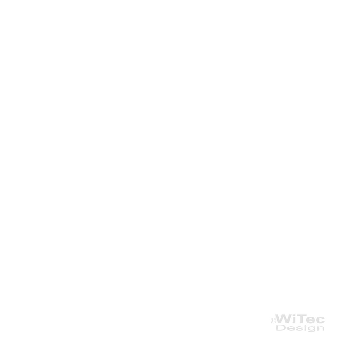 Wandaufkleber CARPE DIEM - Nutze den Tag - Zitat