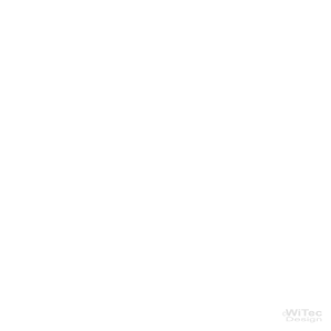 Wandaufkleber ZEBRA Pferde Afrika Natur Wildnis Aufkleber