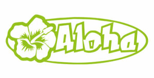 Aloha Hibiskus Hawaii Aufkleber Sticker Auto Laptop