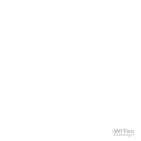 Motorhaubenaufkleber DRACHE Dragon