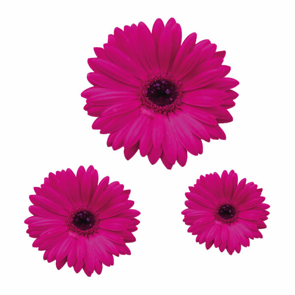 Blumen Digitaldruck Aufkleber Set 3