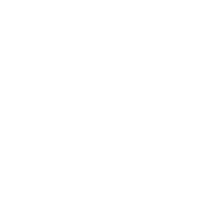 Wohmobil Aufkleber Adler Eagle Wohnmobil Amerika Womo